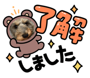 761933458