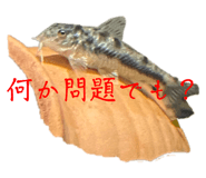761945266