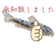 761945271