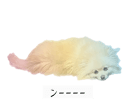 761961674