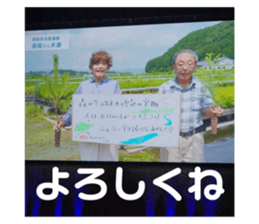 761962223