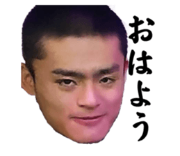761963117