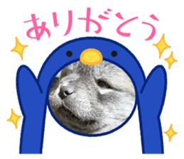 761963759