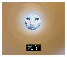 761963993