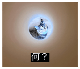 761963994