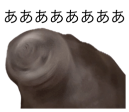 761981172
