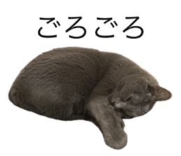 761981176