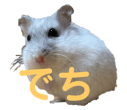 761994906