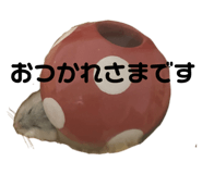 761994909