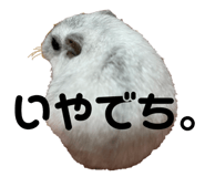 761994911