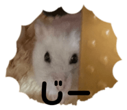 761994913