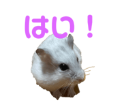 761994917