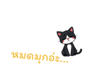 762008937