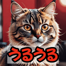 762015489