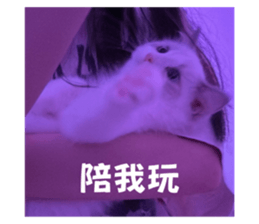 762018817