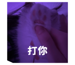 762018818