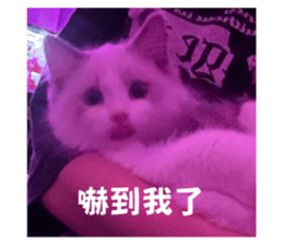 762018819
