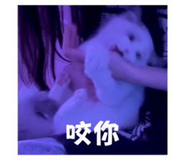 762018820