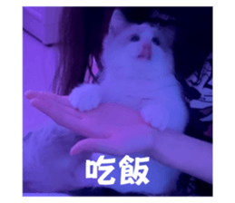 762018821