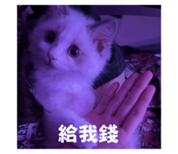 762018822