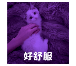 762018824
