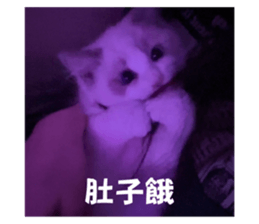 762018825