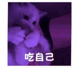 762018826