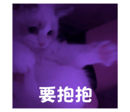762018827