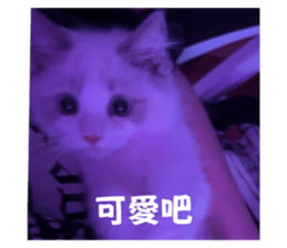 762018829