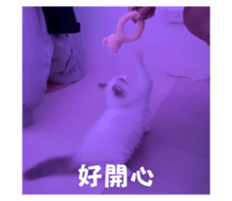 762018831