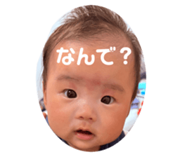 762022650