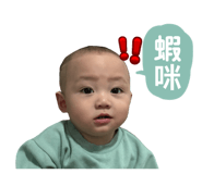 762024338
