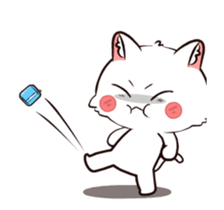762024550