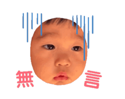 762030699