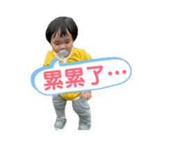762030704