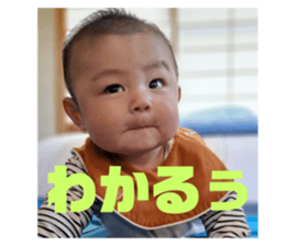 762033315