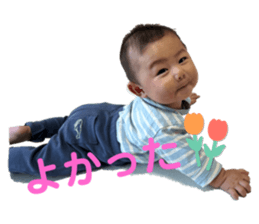 762033331