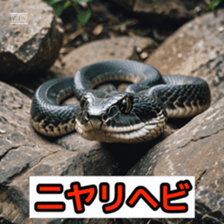 762050665