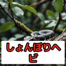 762050667