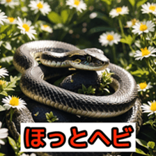 762050672