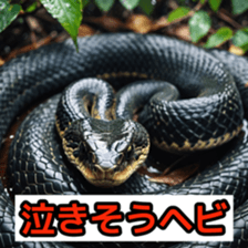 762050673