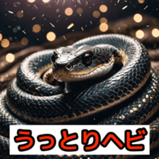762050677