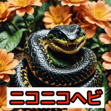 762050679