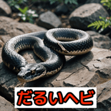 762050700