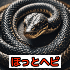 762050701