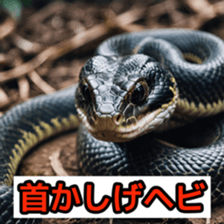762050703