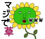 762061628