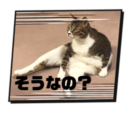 762065069