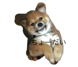 762065248