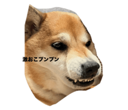 762065254